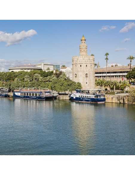 Crucero Guadalquivir Sevilla 15,65€ | Torre del Oro 🚤