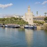 Crucero Guadalquivir Sevilla 15,65€ | Torre del Oro 🚤