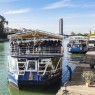 Crucero Guadalquivir Sevilla 15,65€ | Torre del Oro 🚤