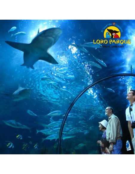 Entradas LORO PARQUE TENERIFE 16€ - Descuentos y Ofertas