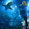 Entradas LORO PARQUE TENERIFE 16€ - Descuentos y Ofertas