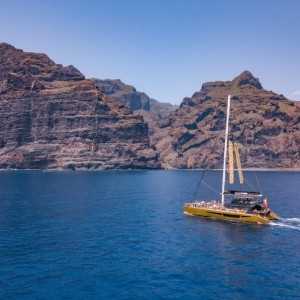 Avistamiento de ballenas y delfines en Tenerife desde 30€🐬