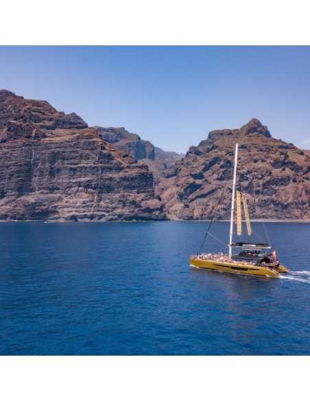 Avistamiento de ballenas y delfines en Tenerife desde 30€🐬