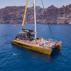 Avistamiento de ballenas y delfines en Tenerife desde 30€🐬 2