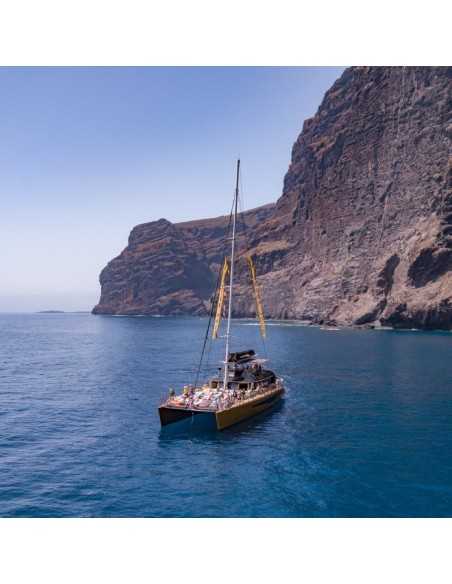 Avistamiento de ballenas y delfines en Tenerife desde 30€🐬