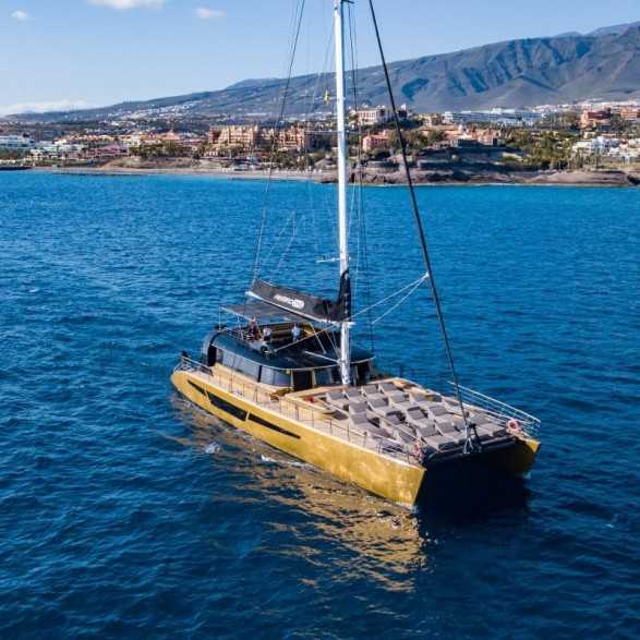 Avistamiento de ballenas y delfines en Tenerife desde 30€🐬