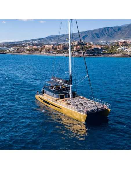 Avistamiento de ballenas y delfines en Tenerife desde 30€🐬