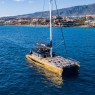 Avistamiento de ballenas y delfines en Tenerife desde 30€🐬
