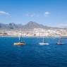 Avistamiento de ballenas y delfines en Tenerife desde 30€🐬