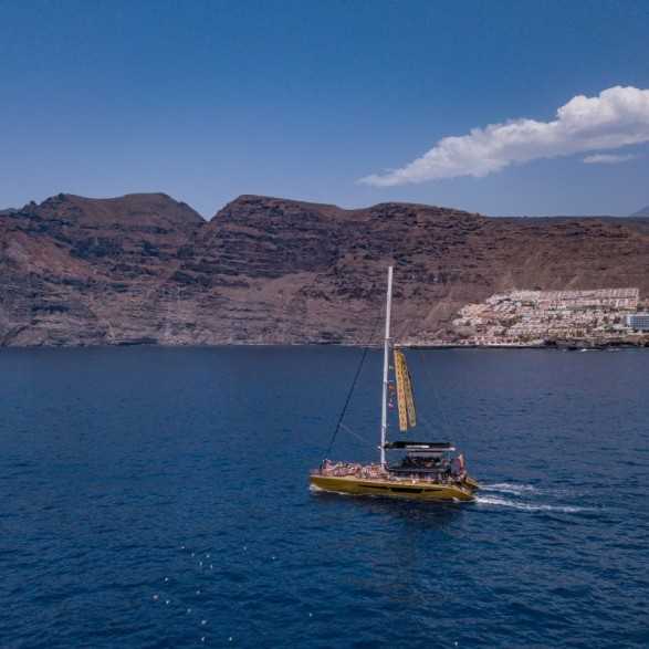 Avistamiento de ballenas y delfines en Tenerife desde 30€🐬