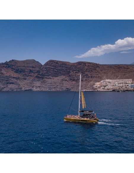 Avistamiento de ballenas y delfines en Tenerife desde 30€🐬
