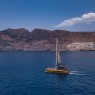 Avistamiento de ballenas y delfines en Tenerife desde 30€🐬