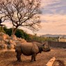 Terra Natura Benidorm y Murcia - Entradas y descuentos