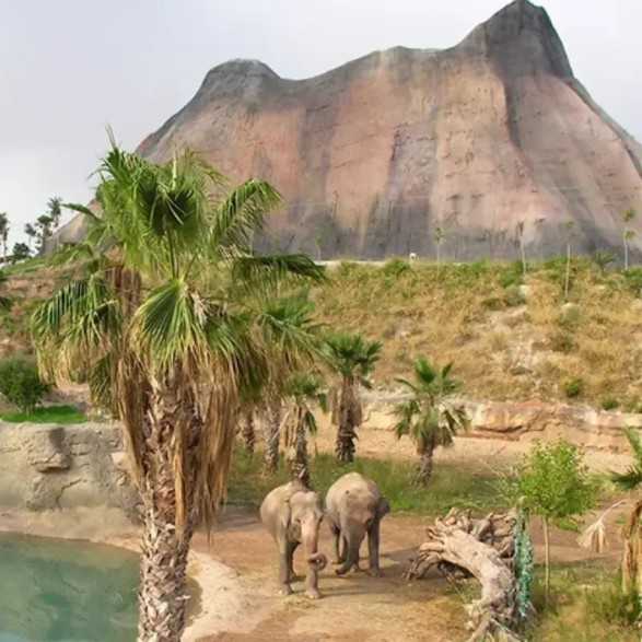 Terra Natura Benidorm y Murcia - Entradas y descuentos