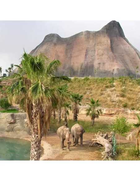 Terra Natura Benidorm y Murcia - Entradas y descuentos