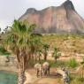 Terra Natura Benidorm y Murcia - Entradas y descuentos