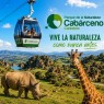 Entradas Cabárceno desde 25€ |Precios, ofertas y descuentos