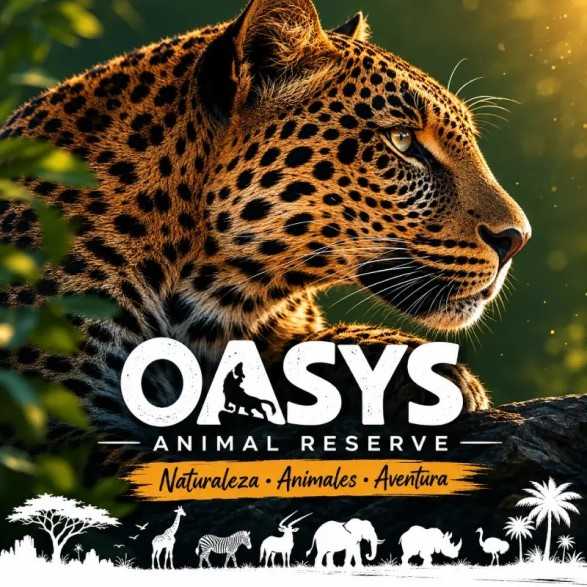 Entradas MiniHollywood Oasys desde 26 € | Descuentos