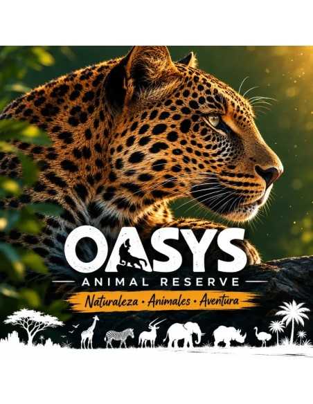 Entradas MiniHollywood Oasys desde 26 € | Descuentos