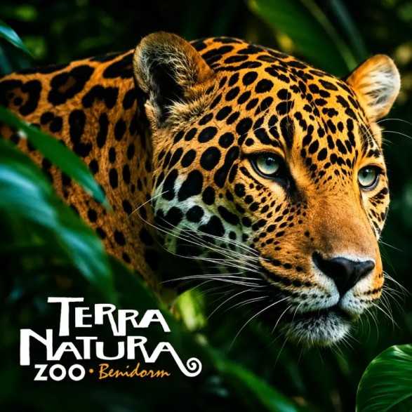 Entradas Terra Natura Benidorm desde 27€| 2X1 y Descuentos