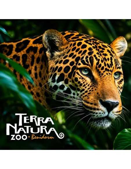 Entradas Terra Natura Benidorm desde 27€| 2X1 y Descuentos