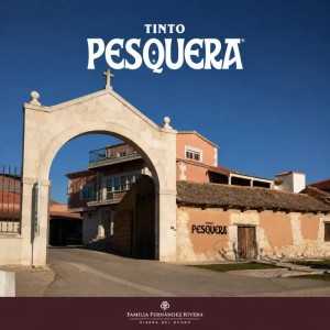 Visita Bodega Tinto Pesquera | Precio desde 52€ 2