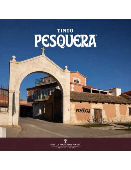 Visita Bodega Tinto Pesquera | Precio desde 52€