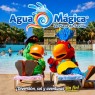 Agua Mágica Sevilla entradas desde 17,90€ | Descuentos