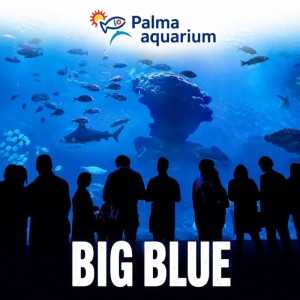 Entradas Palma Aquarium desde 19,50 € | Tickets