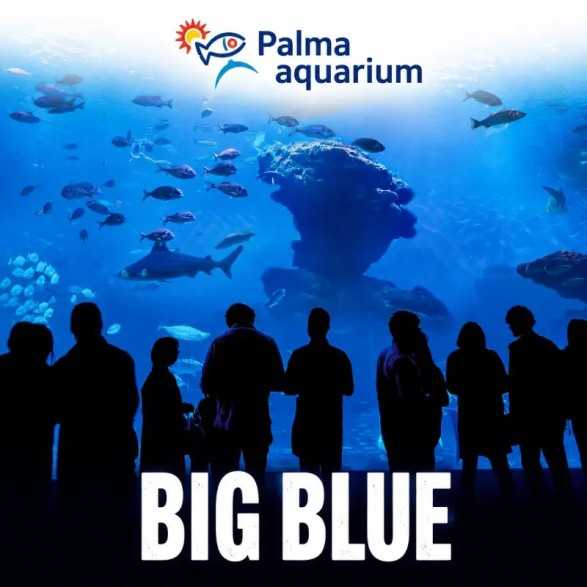 Entradas Palma Aquarium desde 19,50 € | Tickets