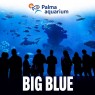 Entradas Palma Aquarium desde 19,50 € | Tickets