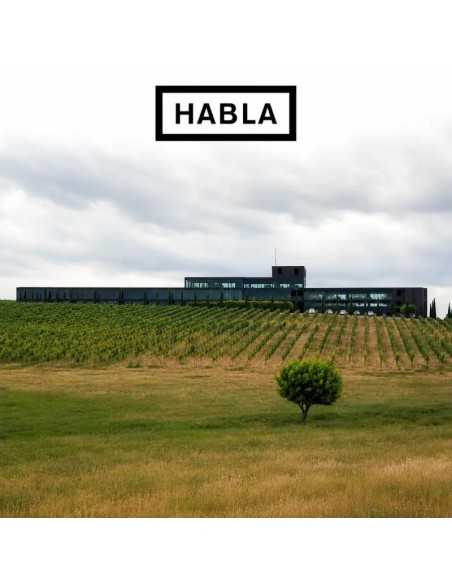 🍇 Visita Bodega HABLA | Catas de Vino y Enoturismo