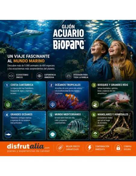 Entradas Acuario de Gijón desde 12€ | Precios