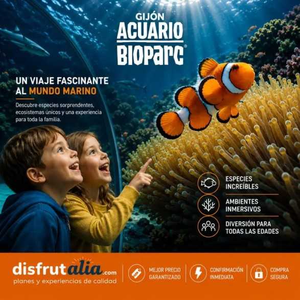 Entradas Acuario de Gijón desde 12€ | Precios