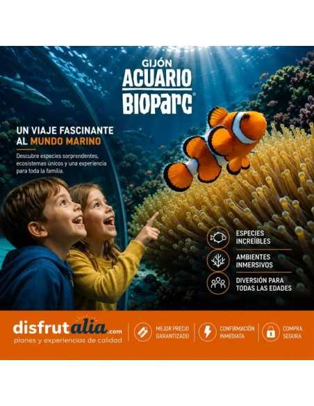 Entradas Acuario de Gijón desde 12€ | Precios