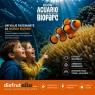 Entradas Acuario de Gijón desde 12€ | Precios
