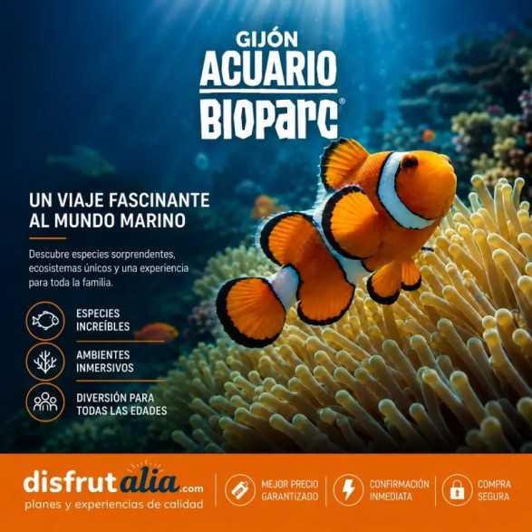 Entradas Acuario de Gijón desde 12€ | Precios