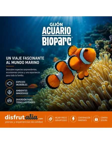 Entradas Acuario de Gijón desde 12€ | Precios