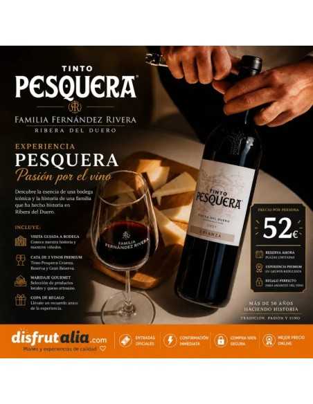 Visita Bodega Tinto Pesquera | Precio desde 52€
