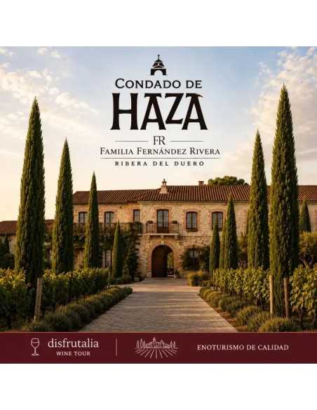 Bodega Tinto Pesquera-Ribera del Duero Valladolid-Enoturismo