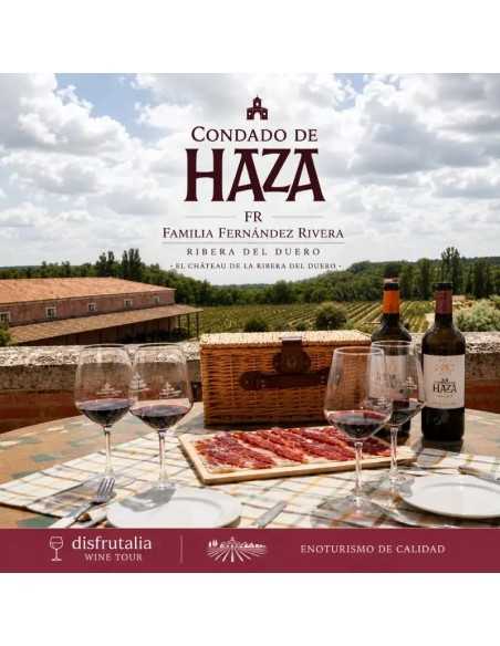 Bodega Tinto Pesquera-Ribera del Duero Valladolid-Enoturismo