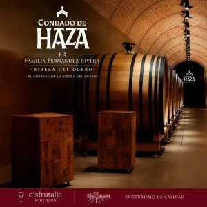 Bodega Tinto Pesquera-Ribera del Duero Valladolid-Enoturismo 2