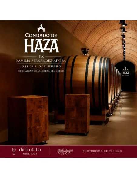 Bodega Tinto Pesquera-Ribera del Duero Valladolid-Enoturismo