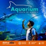 Entradas Aquarium Roquetas de Mar desde 15,20 € | 15% Dto.