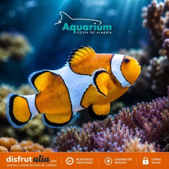 Entradas Aquarium Roquetas de Mar desde 15,20 € | 15% Dto.