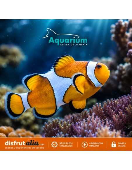 Entradas Aquarium Roquetas de Mar desde 15,20 € | 15% Dto.