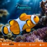 Entradas Aquarium Roquetas de Mar desde 15,20 € | 15% Dto.
