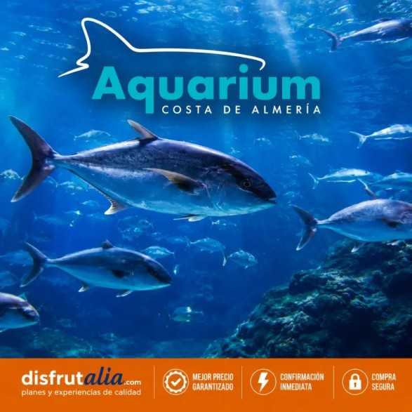 Entradas Aquarium Roquetas de Mar desde 15,20 € | 15% Dto.