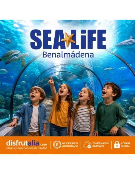 Entradas Sea Life Benalmádena desde 17 €
