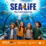 Entradas Sea Life Benalmádena desde 17 €
